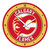 Calgary Flames Modern Disc Wall Clock