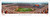 Texas Longhorns Football Panorama