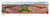 Texas Longhorns Football End Zone View Panorama