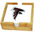 Atlanta Falcons Team Logo Square Coaster Set