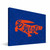 Florida Gators 8" x 12" Mascot Canvas Print