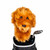 Doodle Golf Driver Head Cover
