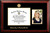 South Florida Bulls Gold Embossed Diploma Frame with Portrait