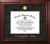Texas-Arlington Mavericks Executive Diploma Frame