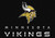 Minnesota Vikings 6' x 8' NFL Chrome Area Rug