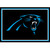 Carolina Panthers 3' x 4' Area Rug