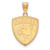 Florida Panthers Sterling Silver Gold Plated Large Pendant