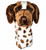 Daphne's German Shorthaired Pointer Golf Driver Head Cover