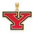 Youngstown State Penguins Sterling Silver Gold Plated Large Enameled Pendant