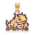 Texas Christian Horned Frogs Logo Art Sterling Silver Gold Plated Small Charm