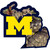 Michigan Wolverines State Decal w/Mossy Oak Camo