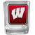 Wisconsin Badgers Square Glass Shot Glass