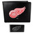 Detroit Red Wings Bi-fold Wallet & Black Money Clip