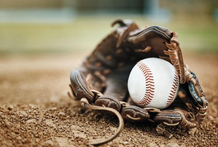 Best Rated Baseball Gloves for 2026
