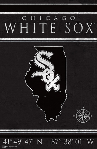 Chicago White Sox 17