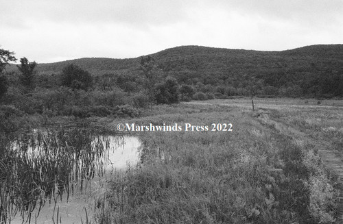 The AT walkway through the floodplain.