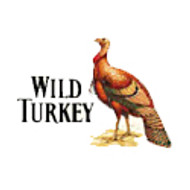 Wild Turkey