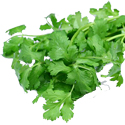 Cilantro Hot Sauce