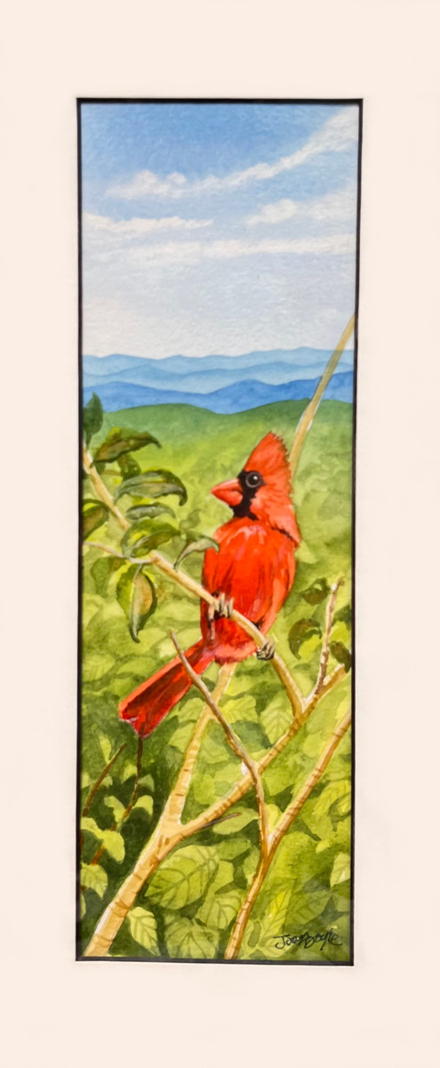 Cardinal Surveys His Territory