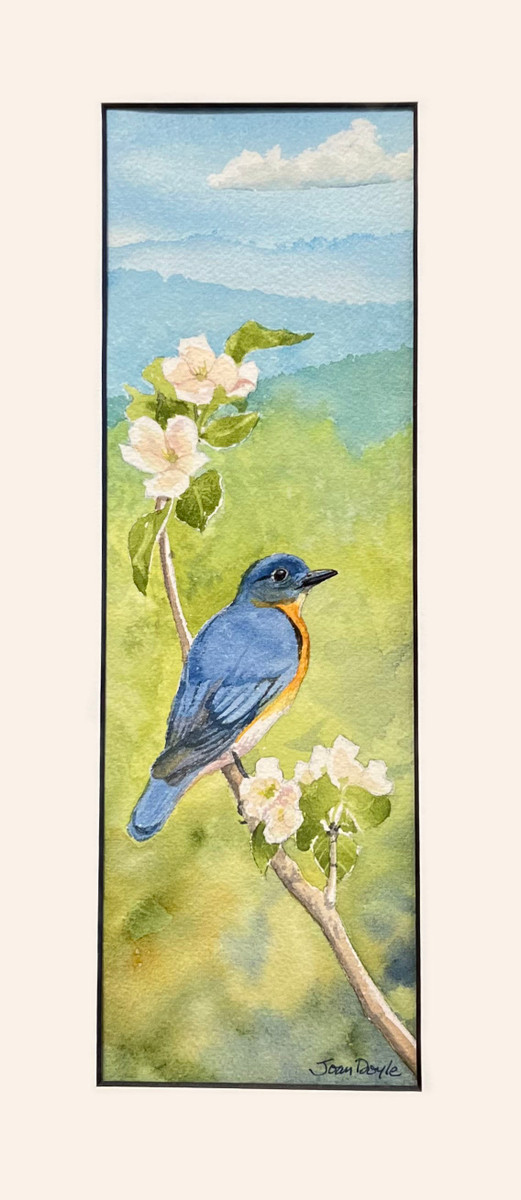 Bluebird and Blossoms