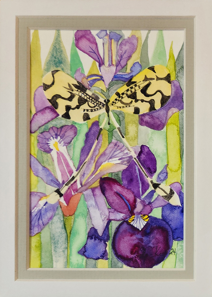Threaded Lacewing and Blue Flag Iris
