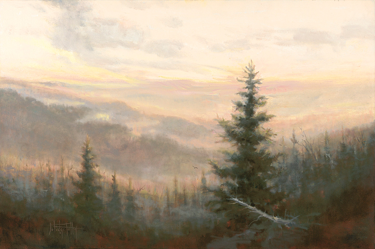 Morning on Waterrock Knob