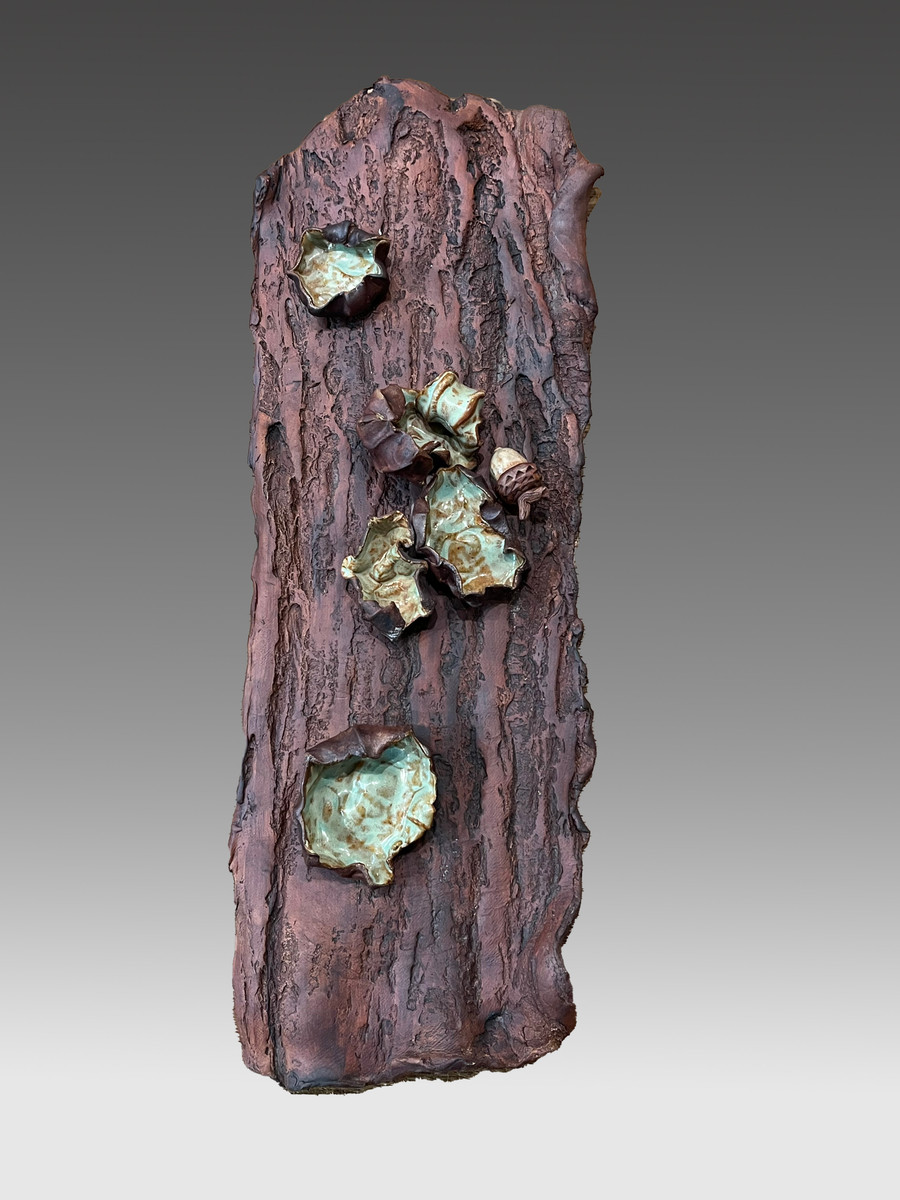Peeled Bark Wall Hanging - Green Lichens
