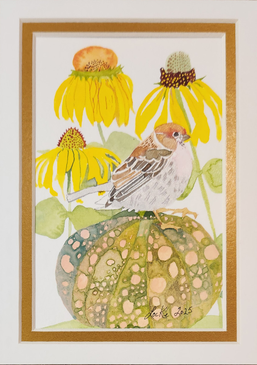 Yellow Coneflower, House Wren, & Summer Pumpkin