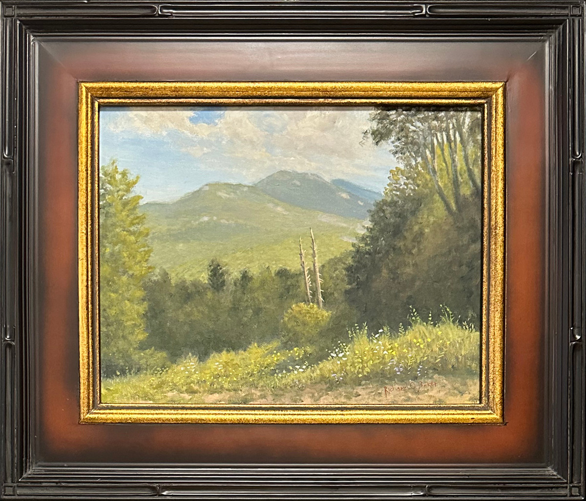 Grandfather Mountain Overlook