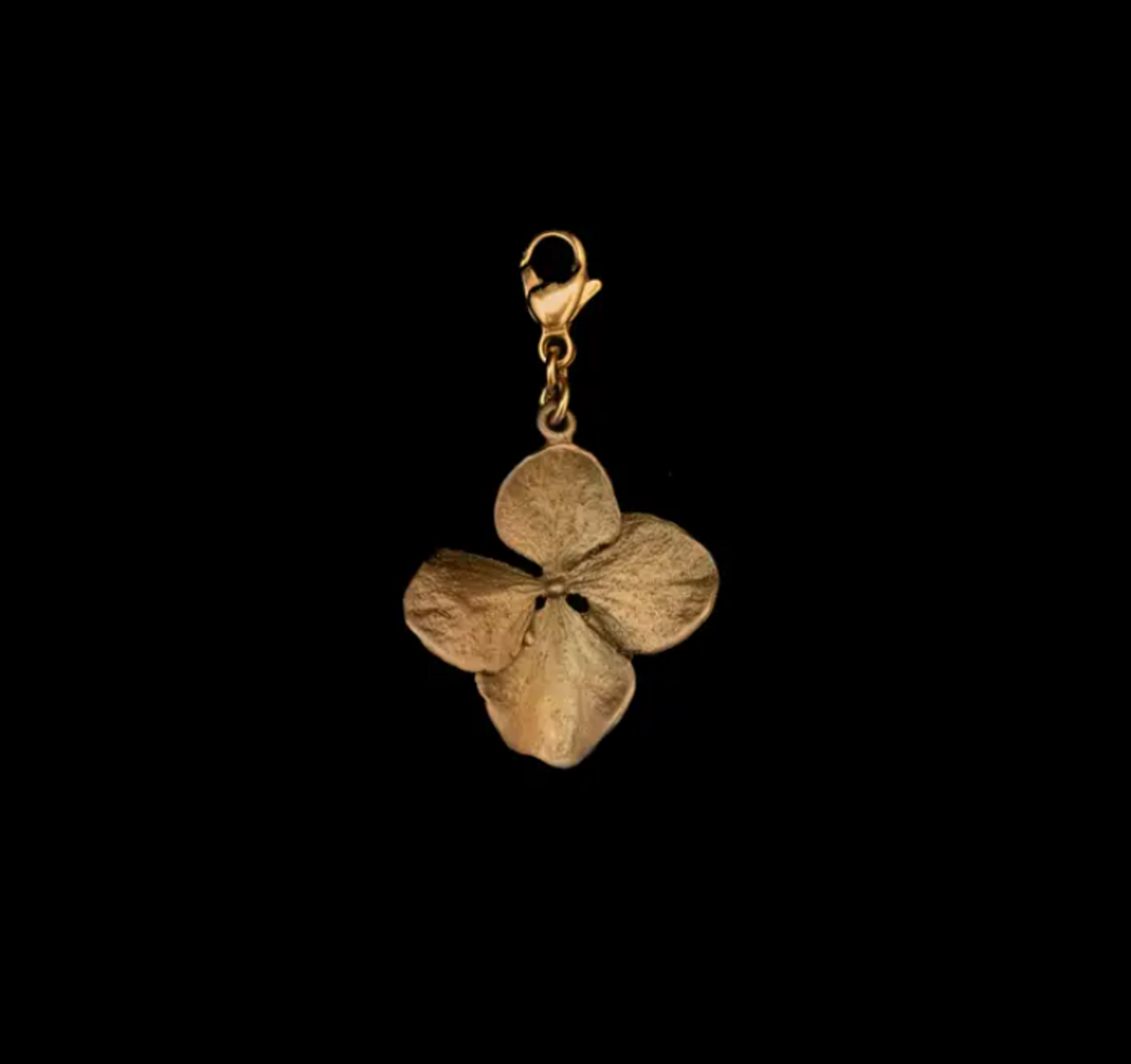 Charm - Hydrangea