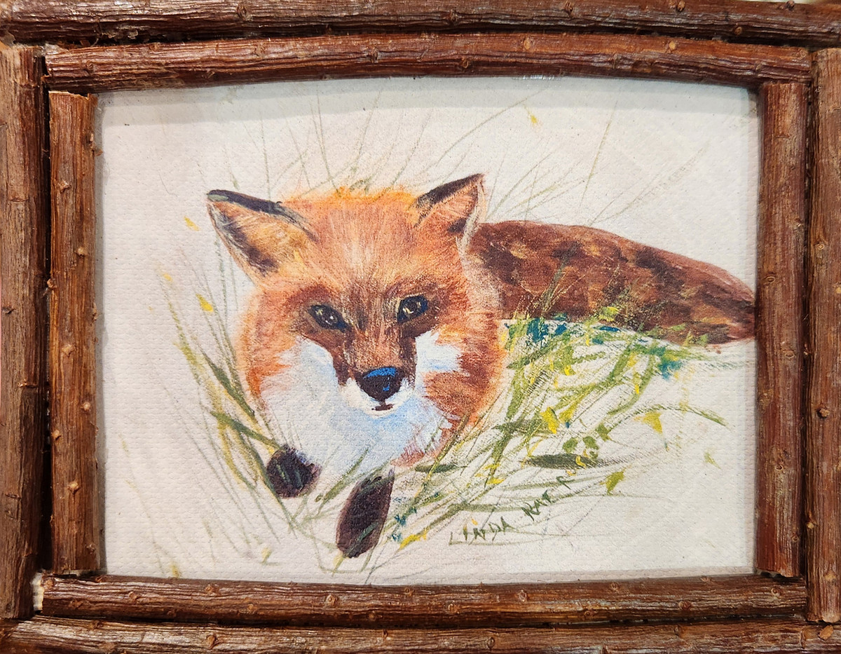 Fox - 559