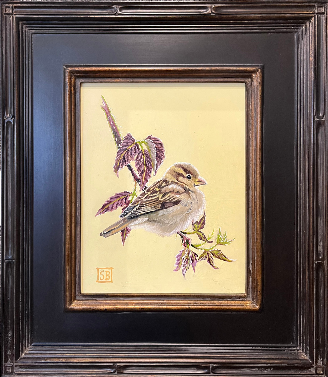 Female Song Sparrow on Raspberry Cane