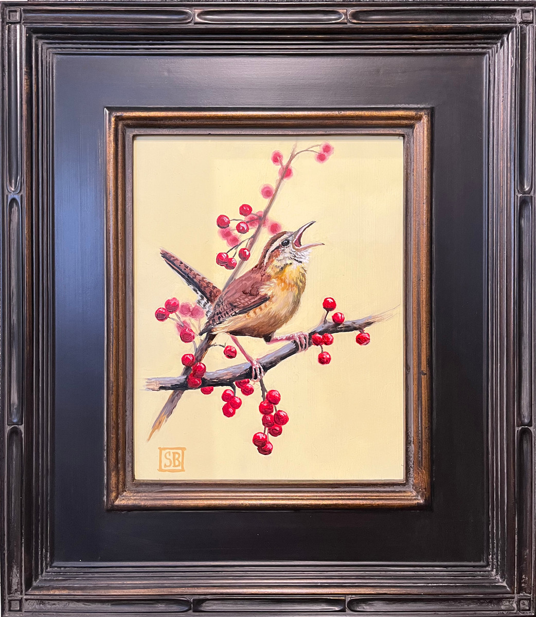 Carolina Wren in Winterberry
