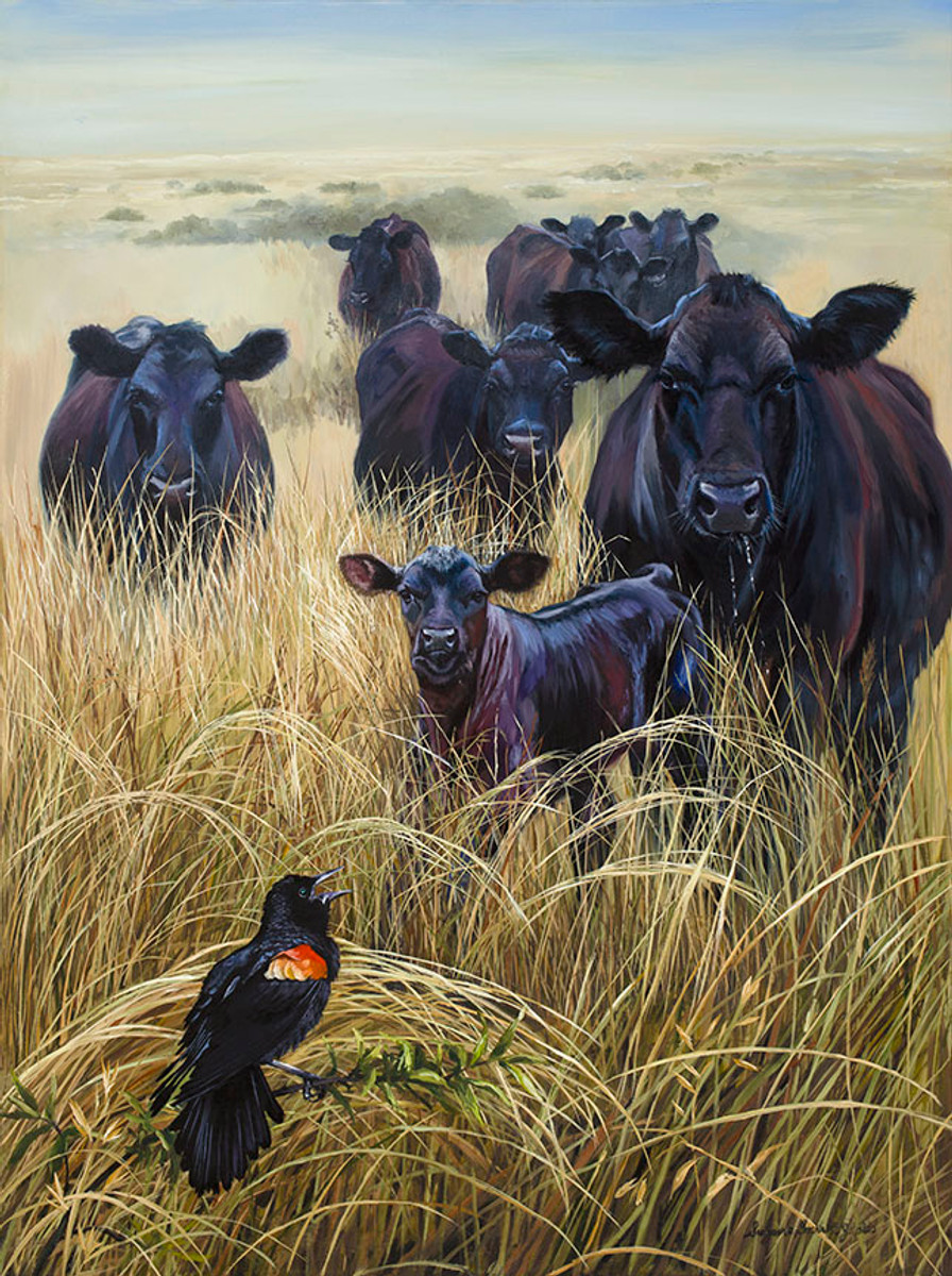 Cocklaree Holds Audience - Giclee