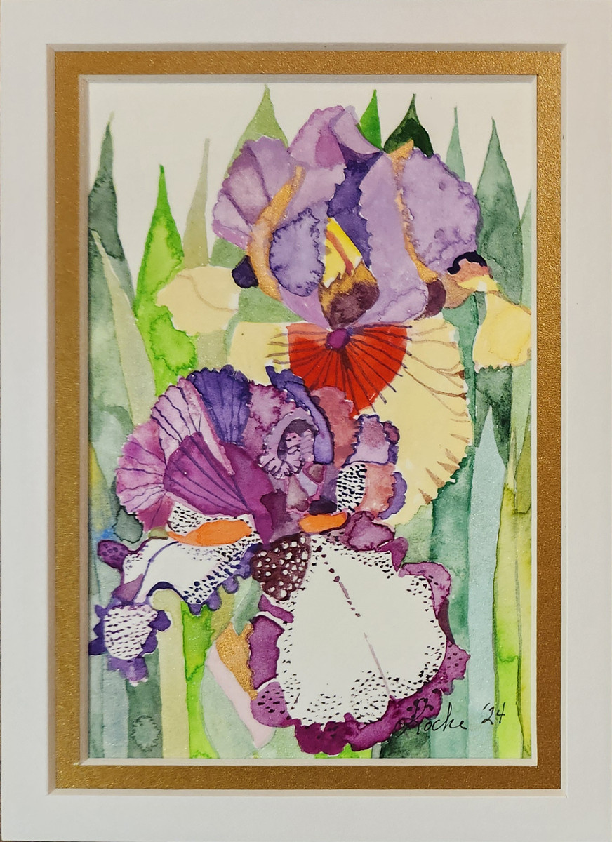 Iris