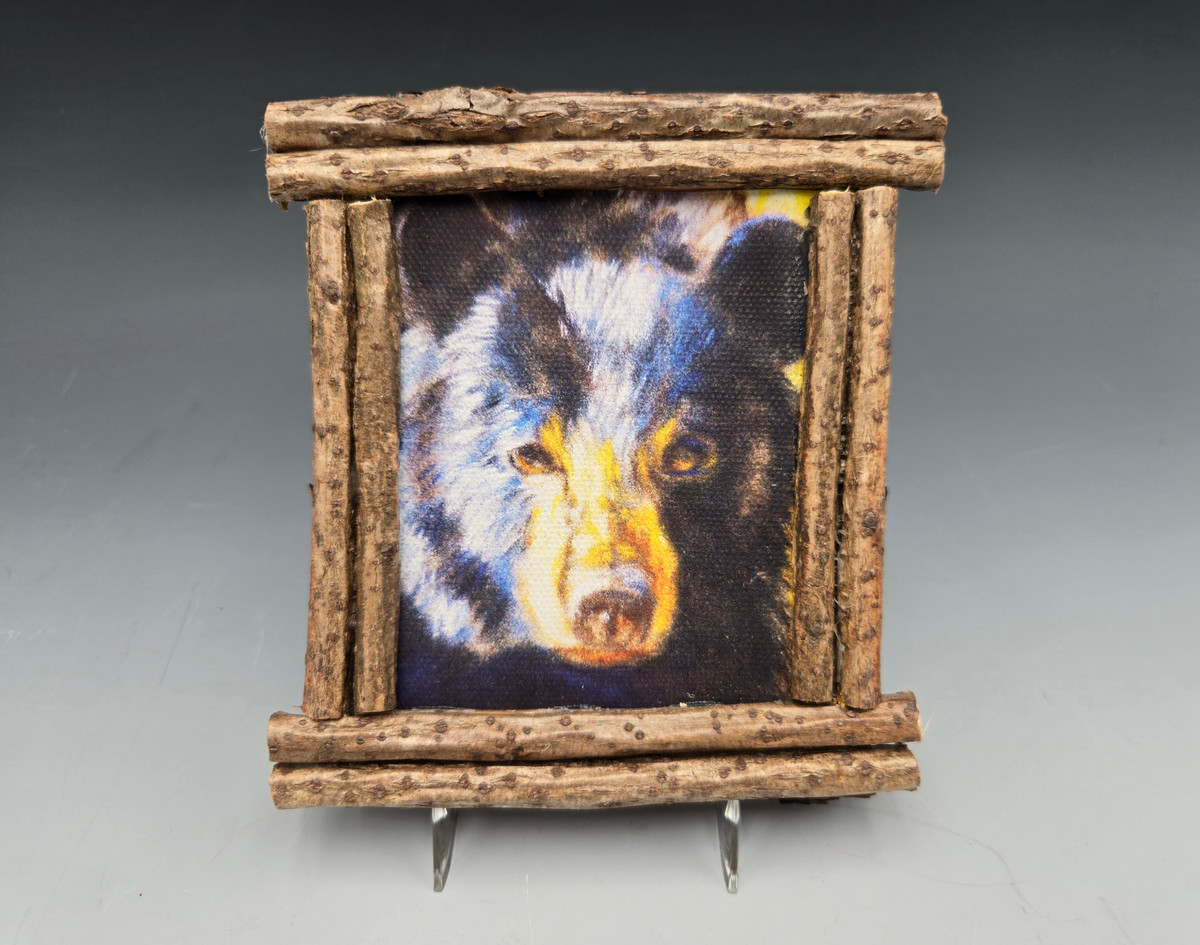 606 - Black Bear "A"