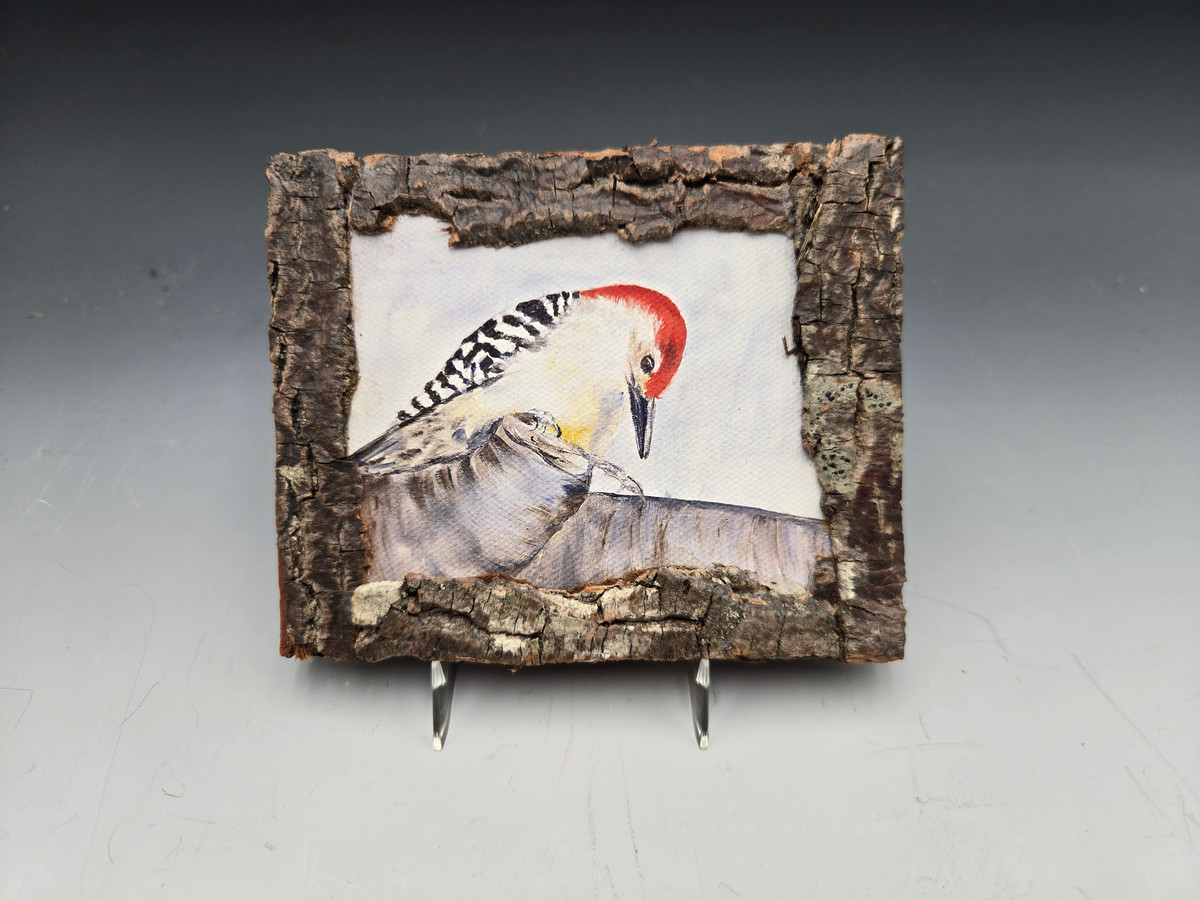 611 - Woodpecker