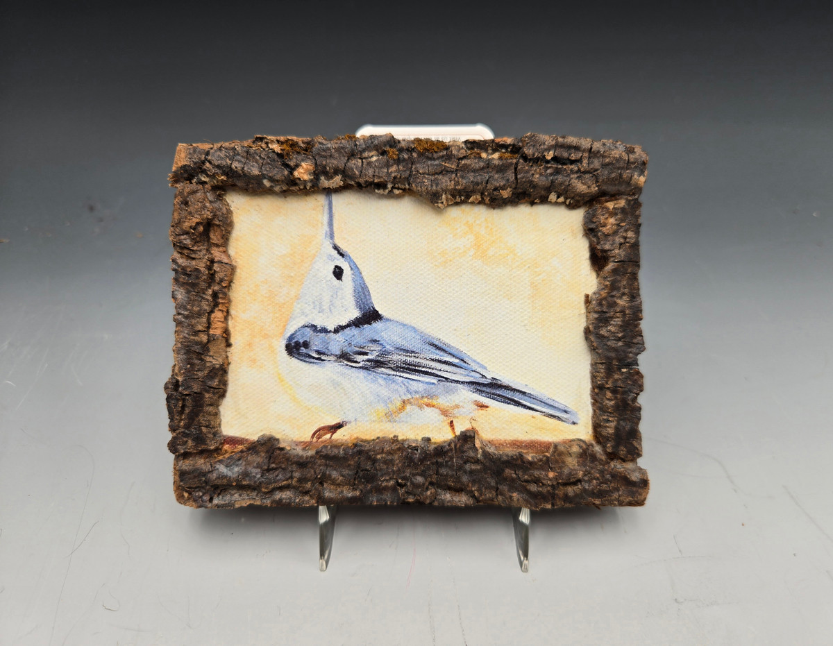 614 - Nuthatch