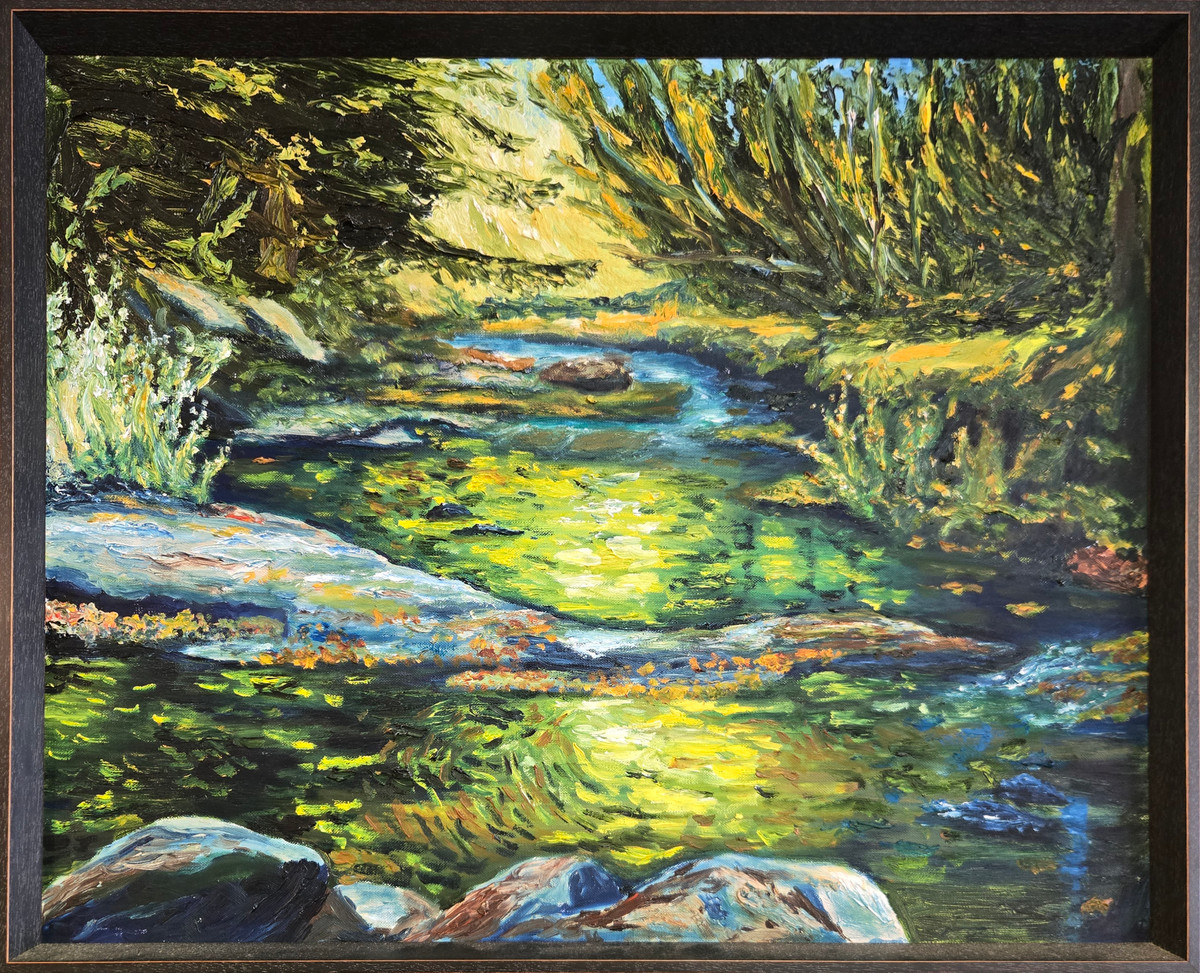 Shady Reflections