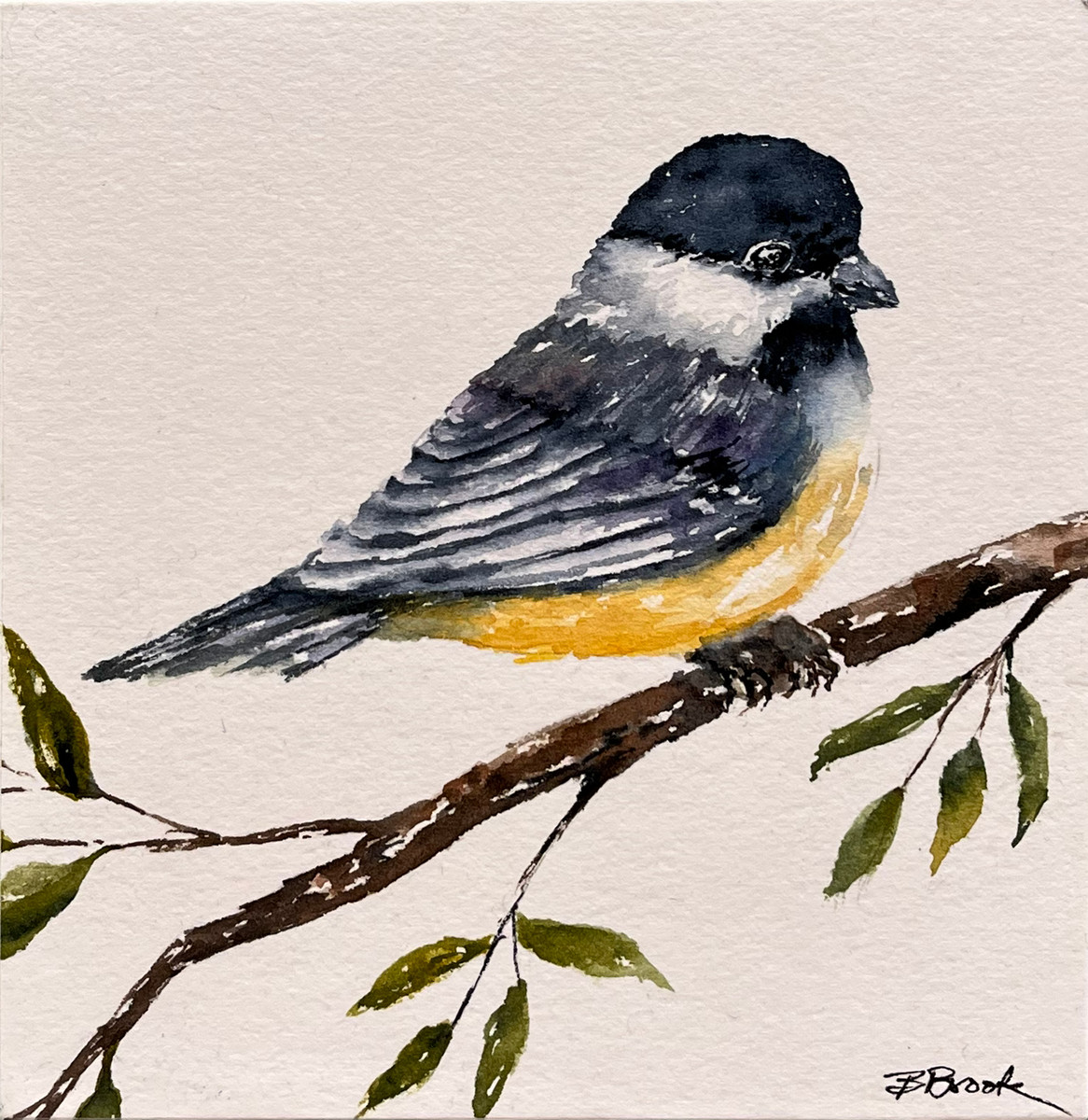 Chickadee dee dee