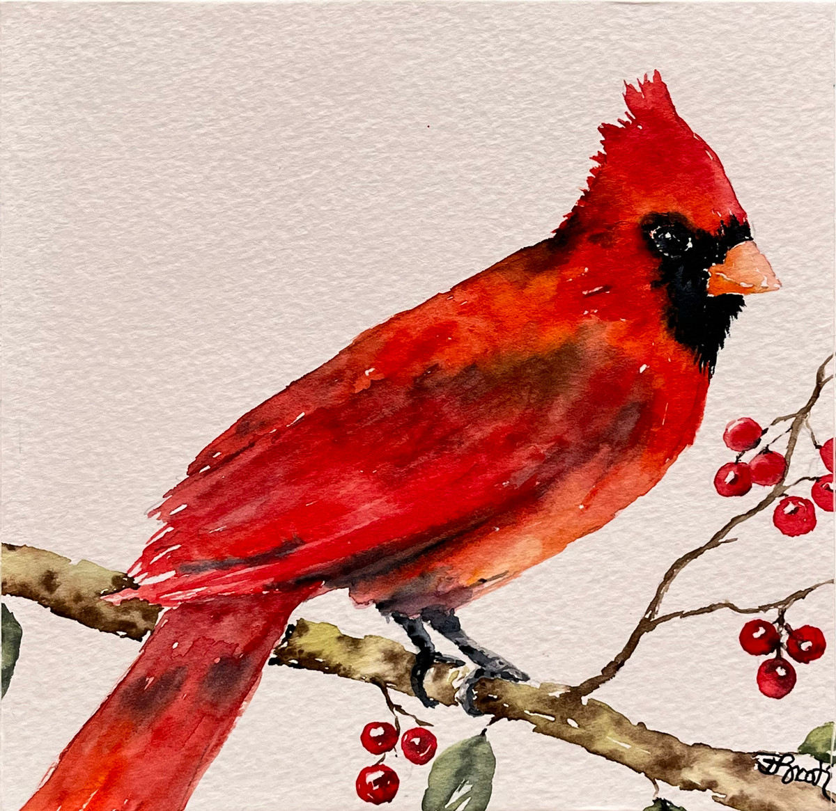 Cardinal