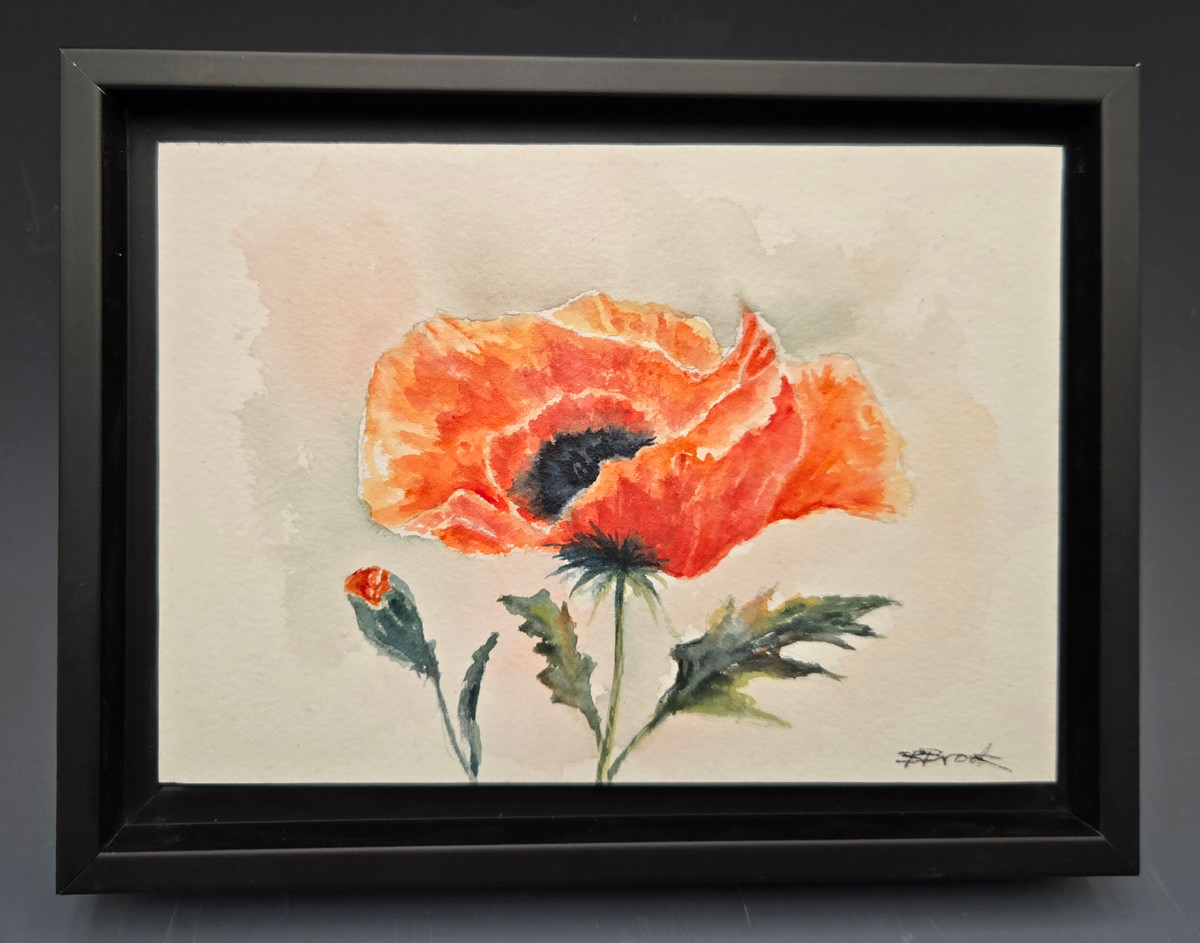Poppy, Floater Frame