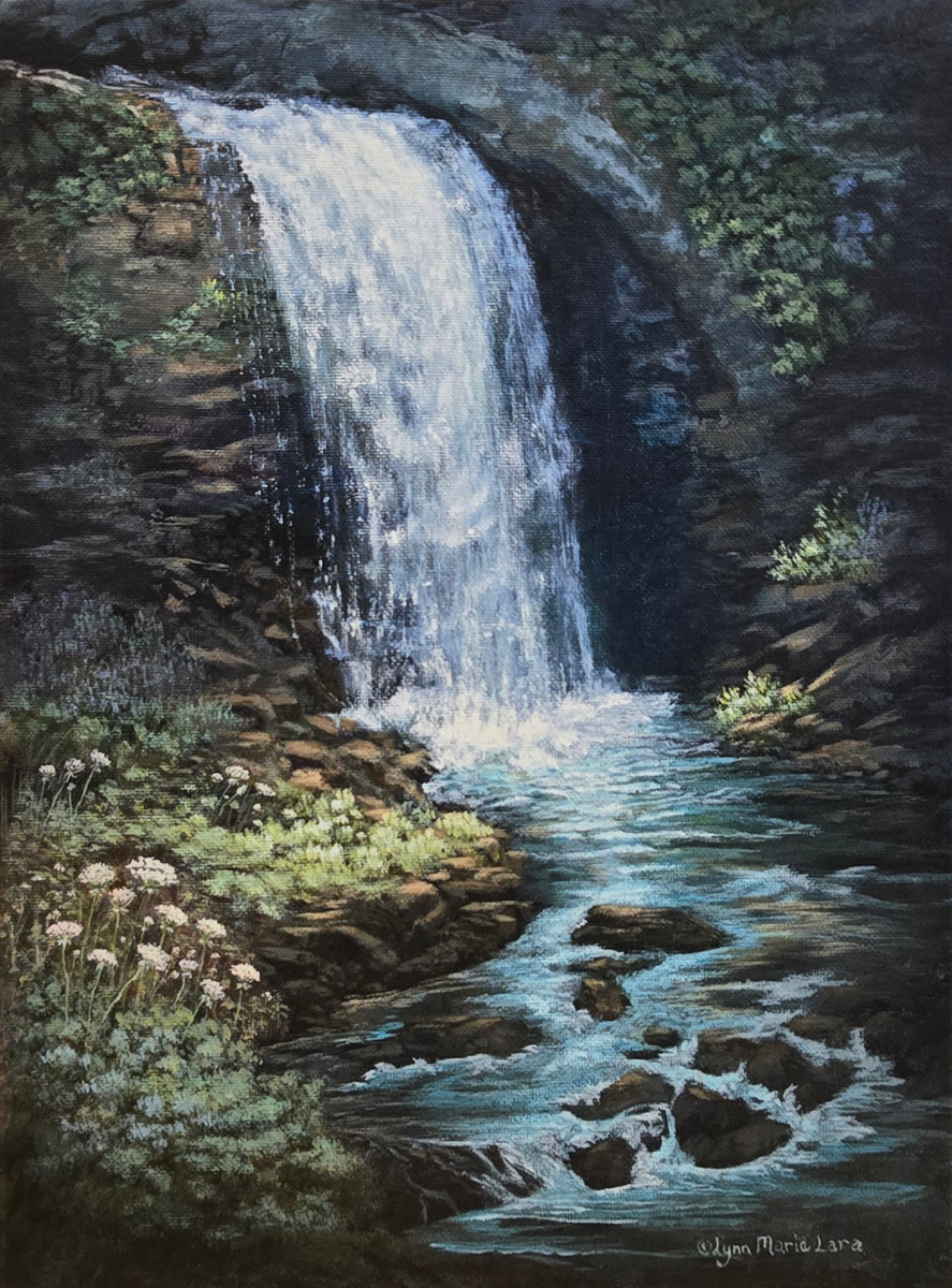 Looking Glass Falls- Canvas 16 x 12