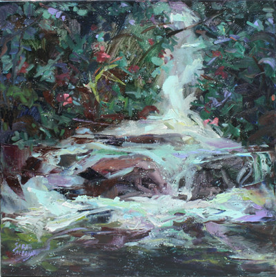 Connestee Stream