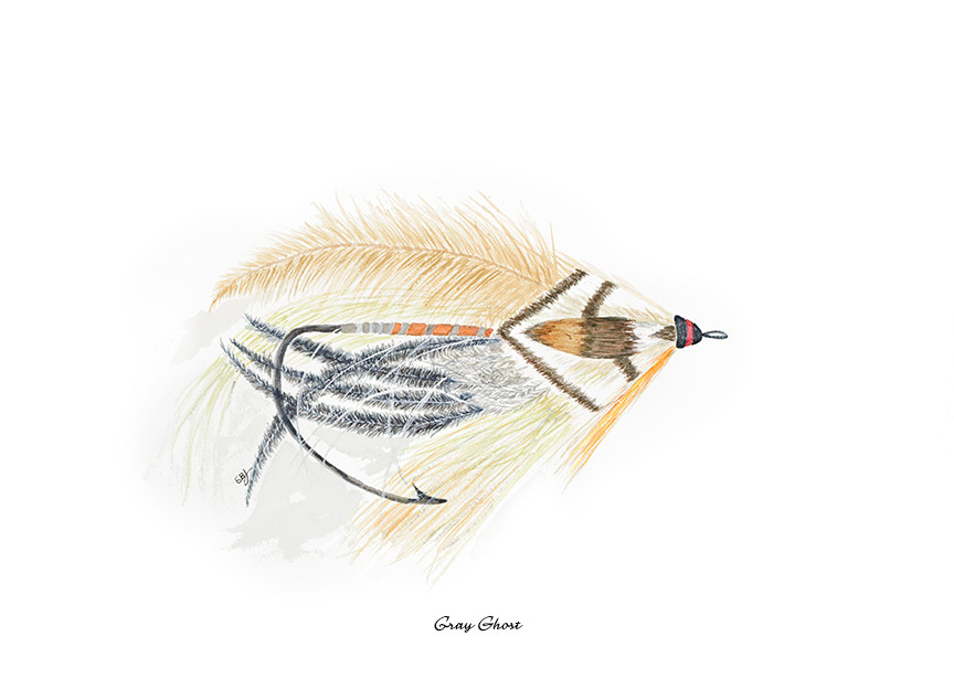 Gray Ghost Fly - Giclée