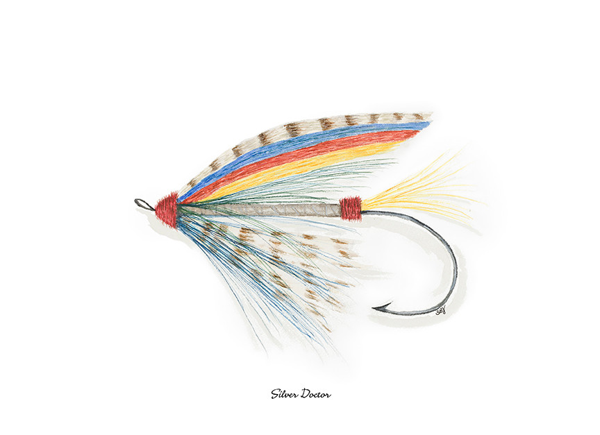 Silver Doctor Fly - Giclée