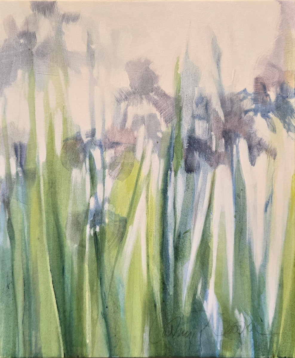 Iris Love II
