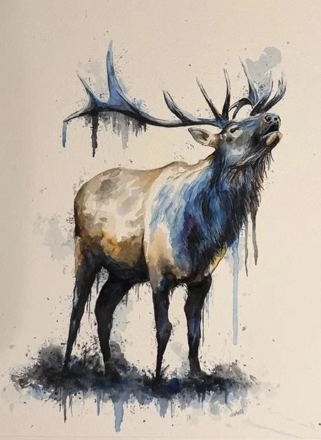 The Rut