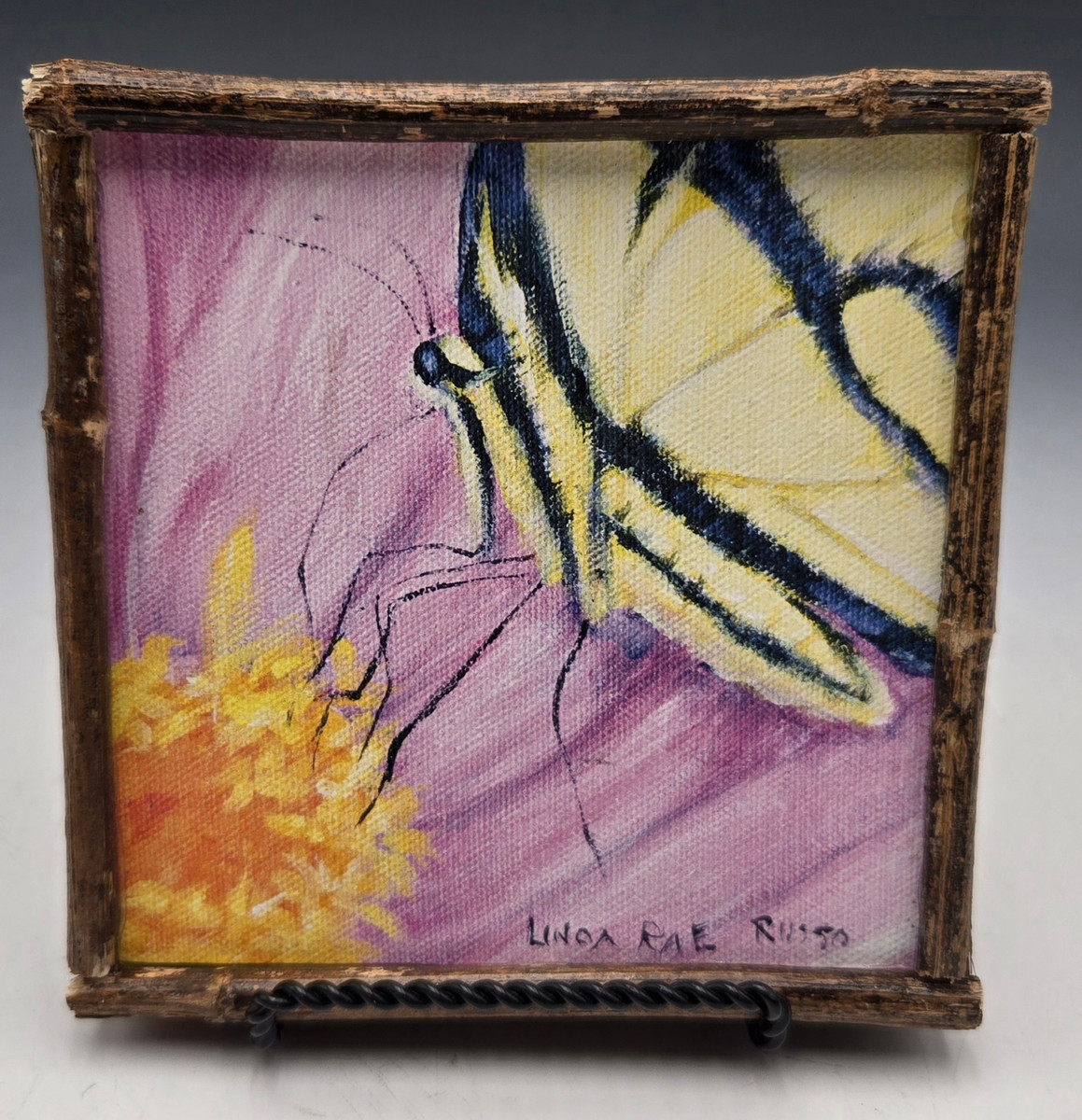 652 - Swallowtail on Cosmos