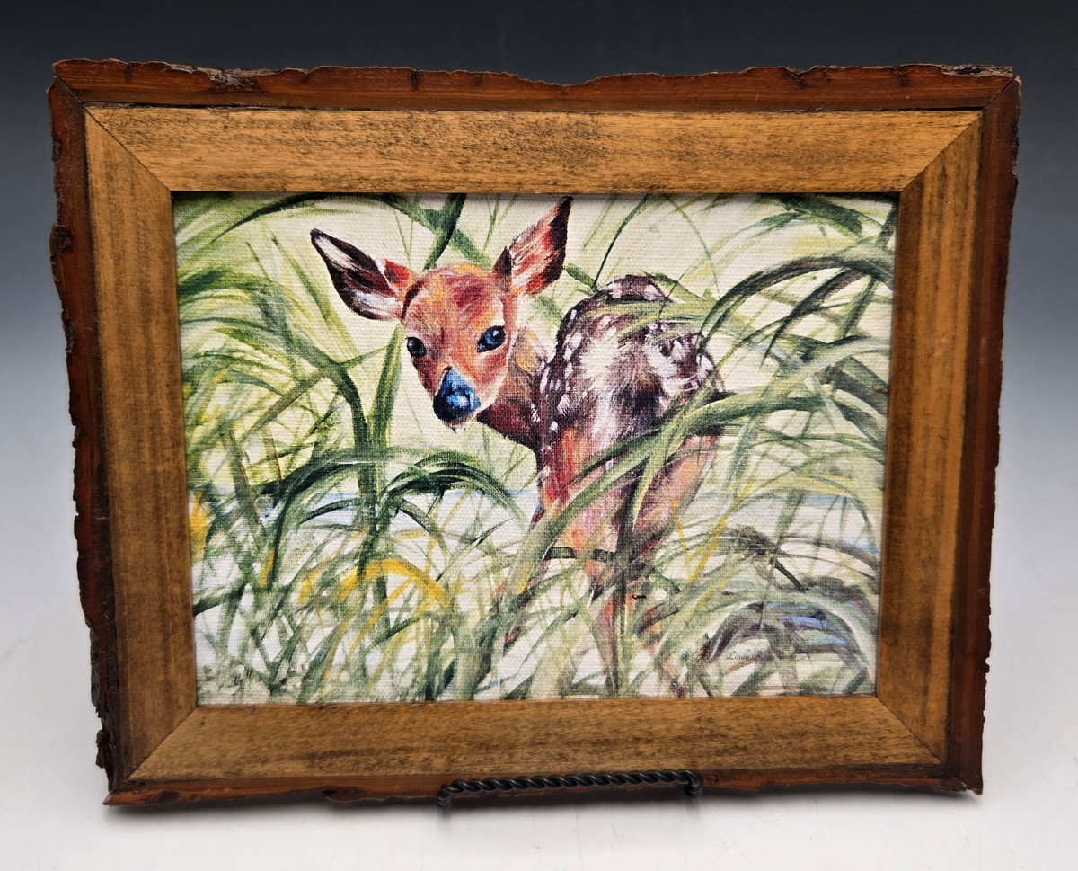 641 - Fawn in Water Print